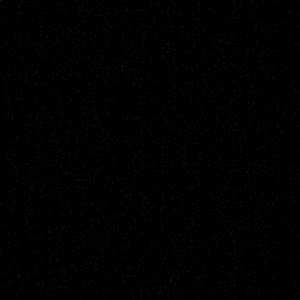 Meet your Posher, Payton